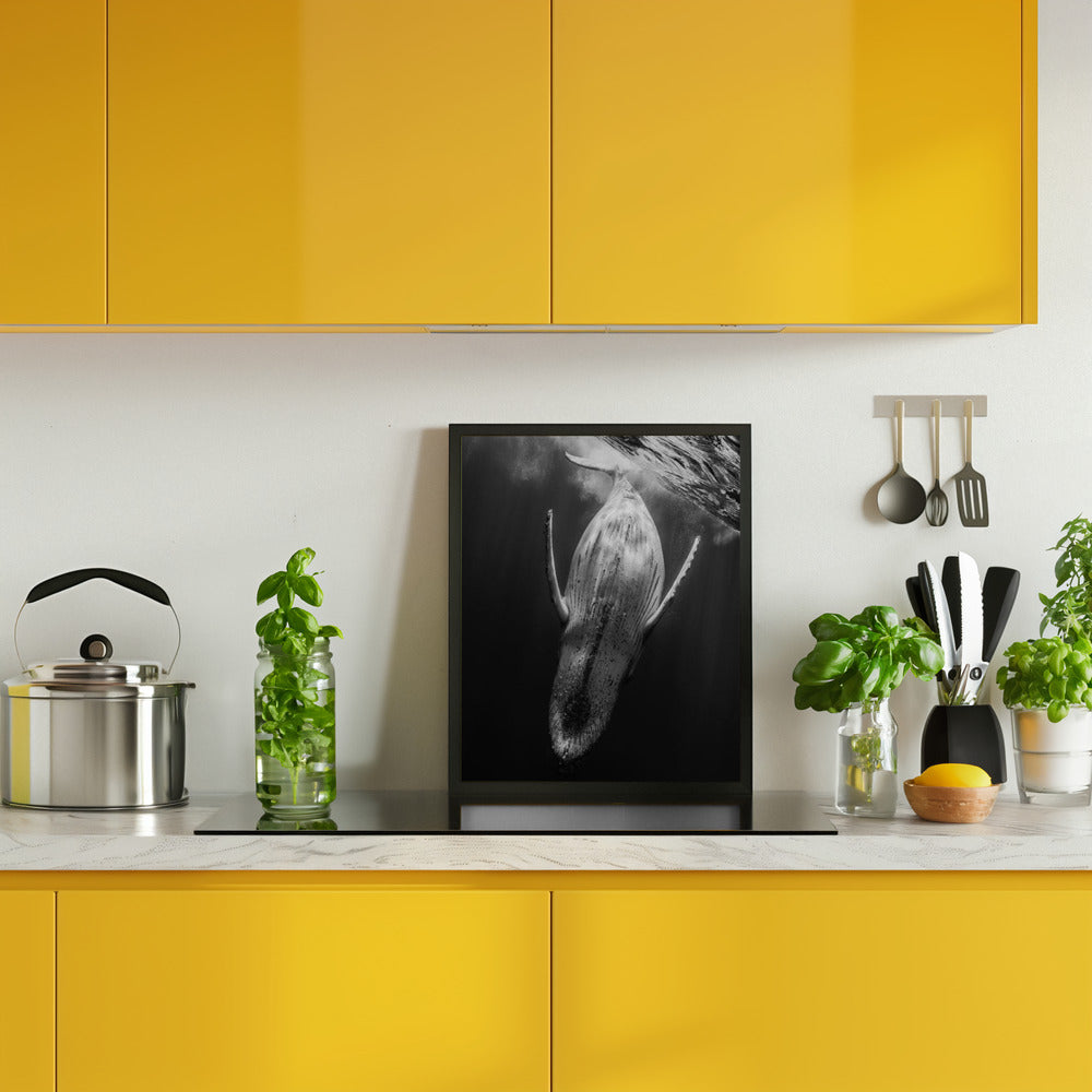 Black & Whale Poster